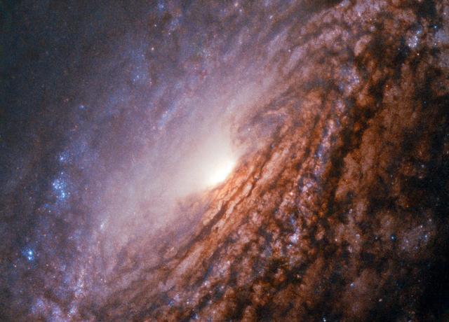 「基因」当黑洞遇上中子星，强者遭遇强者，这场战争将如何演绎？