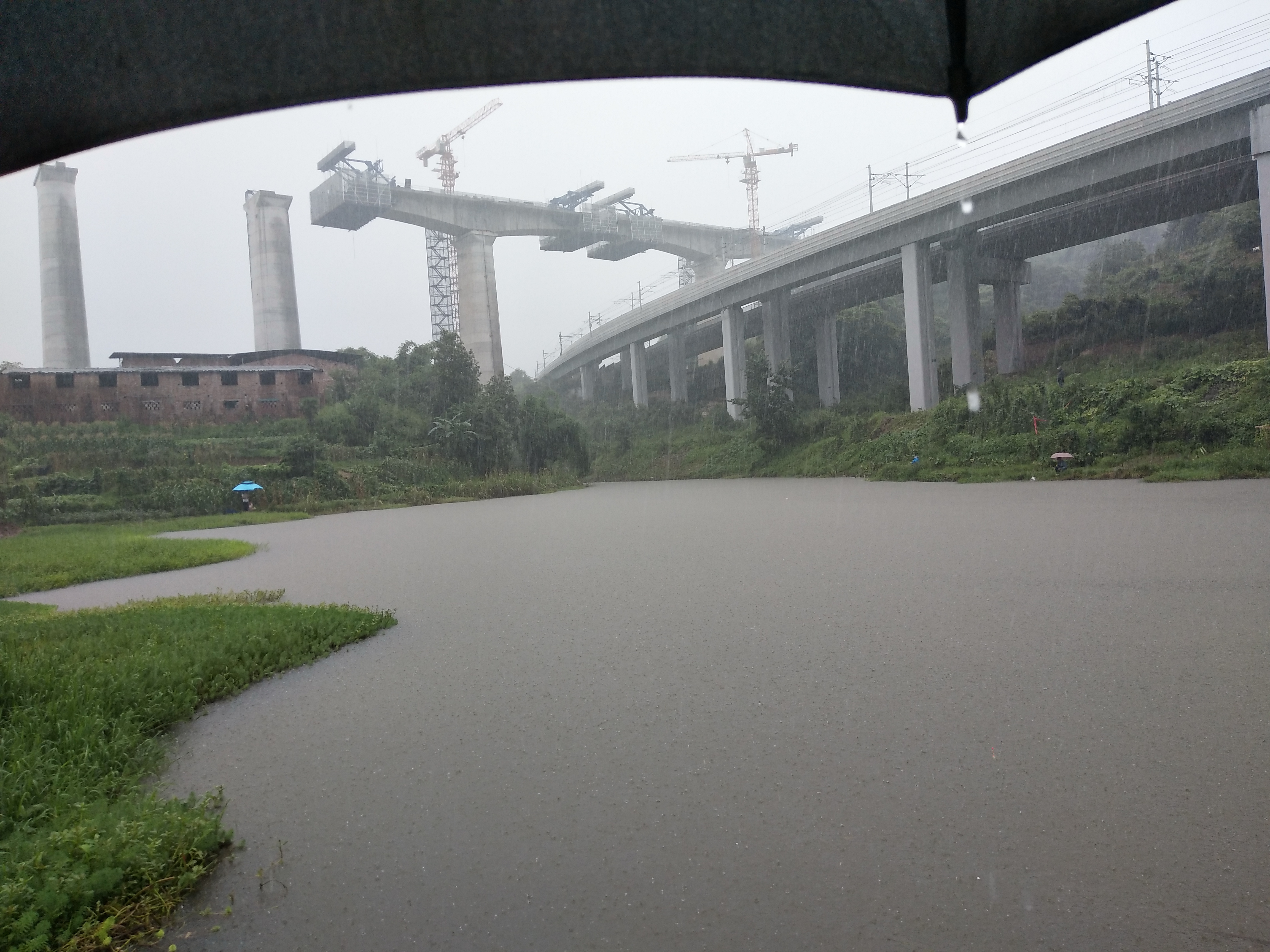 暴雨|为什么男人那么爱钓鱼？怎么都搞不懂，求解惑！