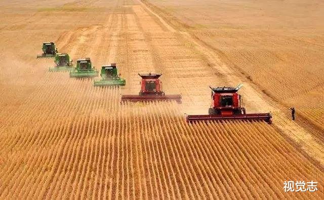 视觉志|台风带来可怕昆虫侵袭：一个袁隆平，帮不了14亿人