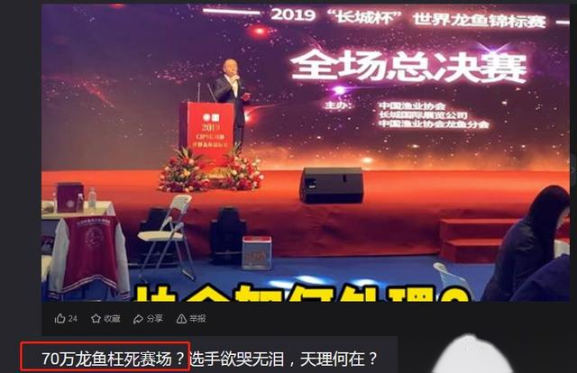 围观 | 70万龙鱼枉死赛场？选手欲哭无泪，天理何在？