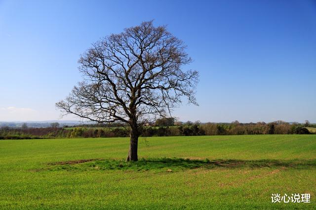 运势|11月,相思成疾,念你成痴,3星座心软回头,与旧爱携手相依