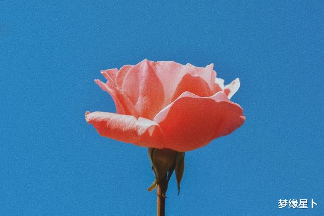 双鱼座■最能为爱人改掉坏习惯的四个星座