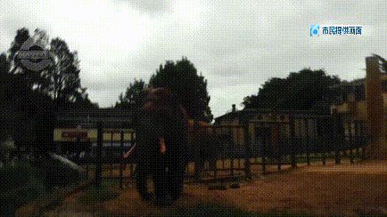 你好吴所畏|国庆结束最可怕的事情发生了:求求你,别发朋友圈了!