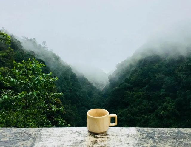 茶叶|喝茶不分体质，小心身体越喝越差！赶紧提醒身边爱喝茶的人