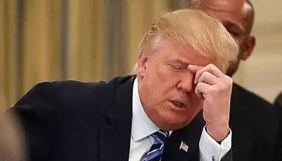 华为■孟晚舟没能回家的第584天，任正非愤怒“出手”：我们终于等到了！