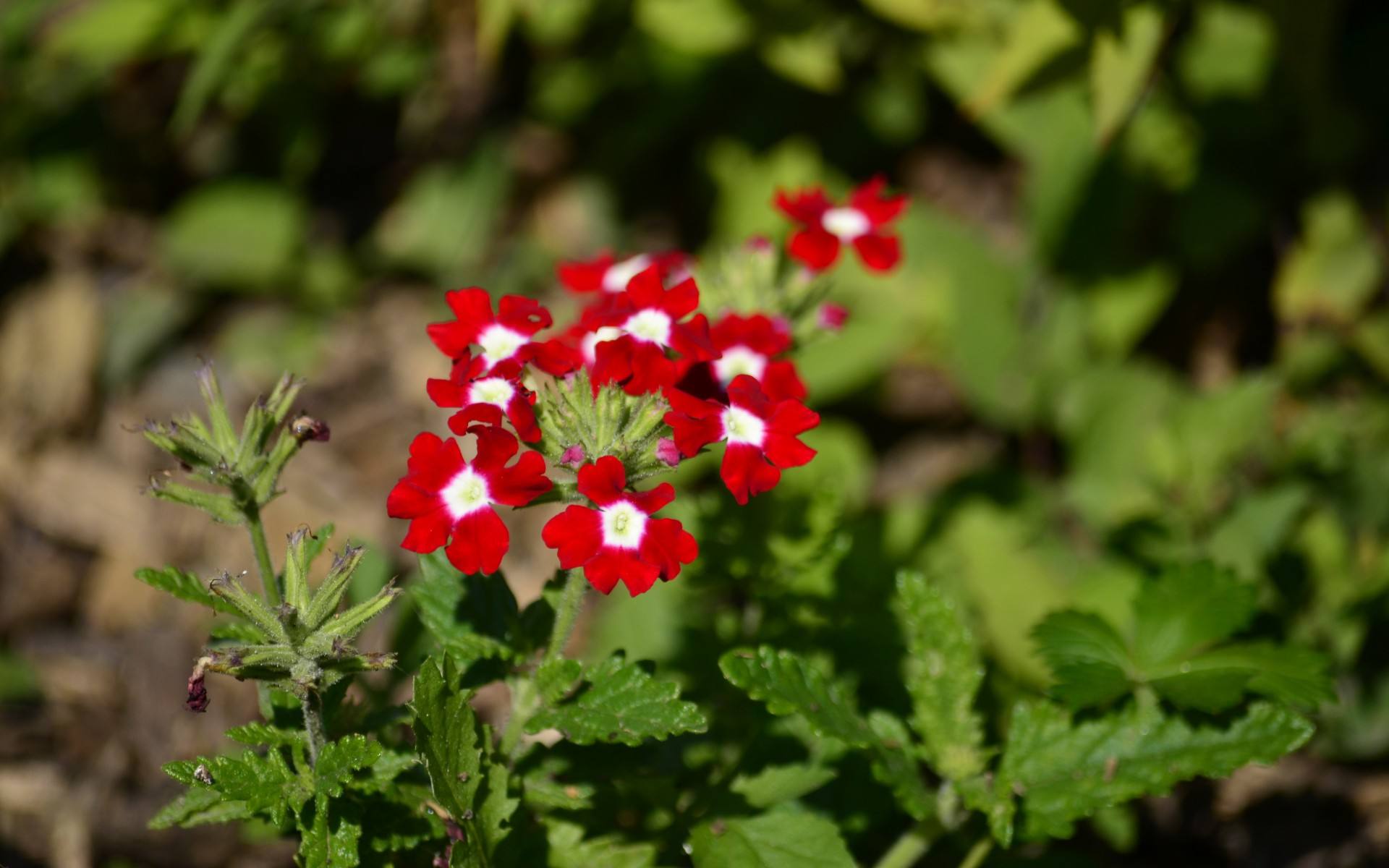霉运|11月起，喜事一波波，霉运阻碍少，财源滚滚，升职加薪不是梦的3星座