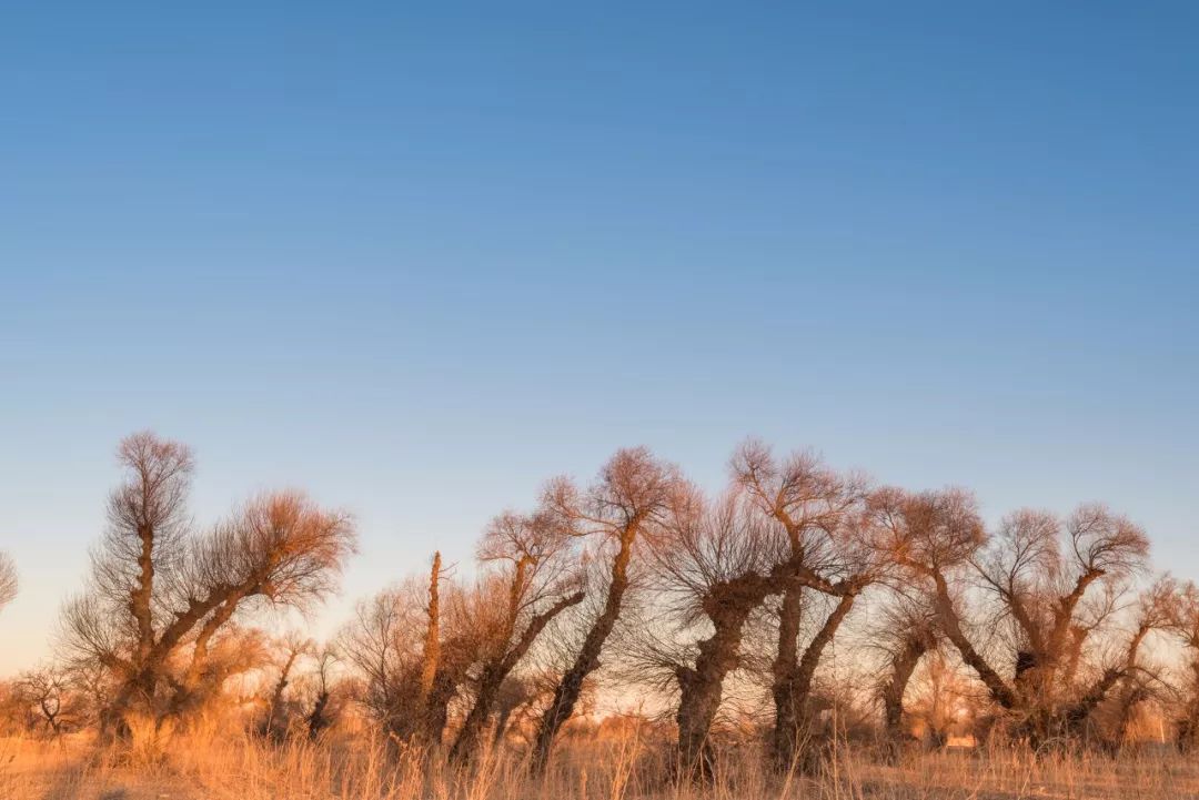 林芝|这才是国庆小长假最值得去的14个地方，莫负大好秋色，来一场避开人潮的旅行吧
