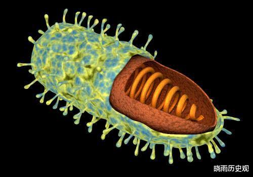 「狂犬病」古人被狗咬伤，没有疫苗就不怕得狂犬病吗？其实有一方法流传至今