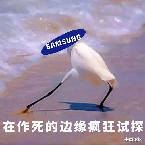 充电器|苹果这次开了个坏头