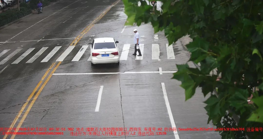 大众网泰安|鲁JUC**8、鲁JDM**0、鲁JA9**6……这20辆车被曝光！