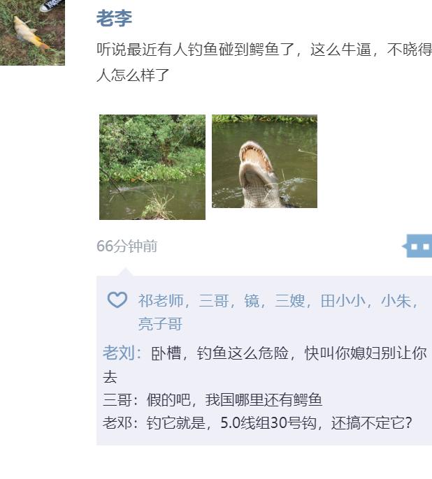 鳄鱼■广东男子钓鱼碰到鳄鱼，放生鳄鱼几时休？