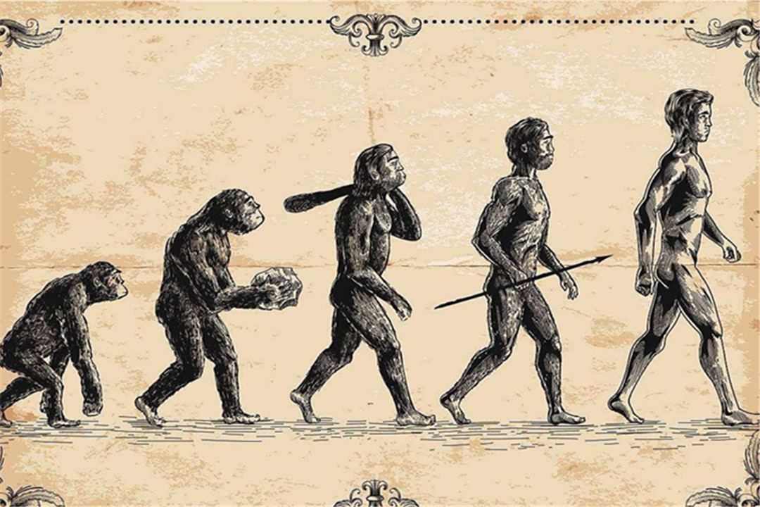 科学家发现远古人类化石,距今已19万年,生活在青藏高原!