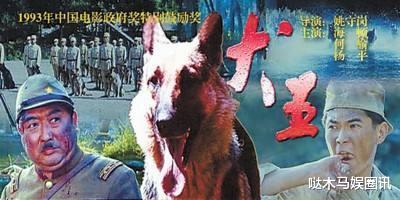 电影|功勋军犬在拍戏时被炸的粉碎，士兵哭到吐血，导演却高呼：太好了