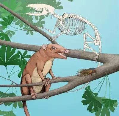 化石：灭绝得最冤的物种，它们被误认为是杀羊贼，惨遭欧洲人的团灭