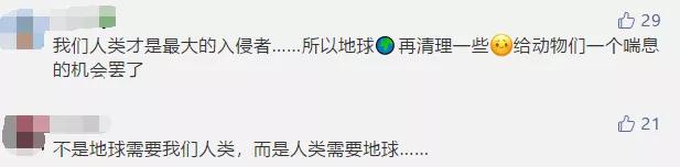 澳大利亚@疫情带给缅甸如此惊喜!人类活动停止后,浑了45年的江水清了