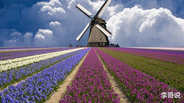 人情薄如纸，人心狠如狼！