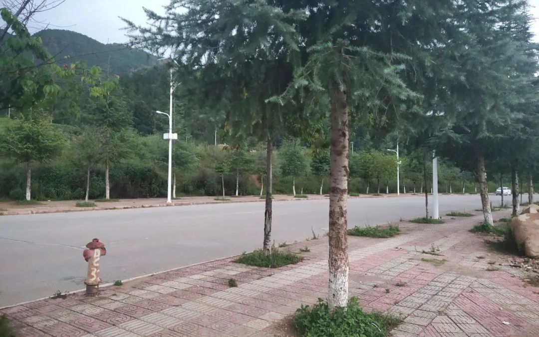 新京报|云南2岁男童被抱走后的45小时：孩子被疑犯标价十万元准备卖掉