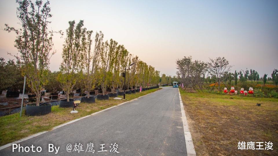 胡杨林|无锡最接近“仙境”的地方，无法抗拒的浪漫，看看你去了吗？