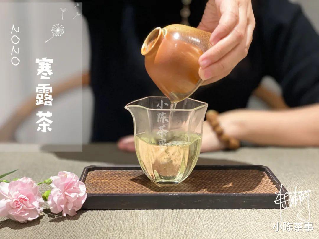 小陈茶事 资金充裕型、精打细算型、量体裁衣型,预算不同该如何挑选白茶?