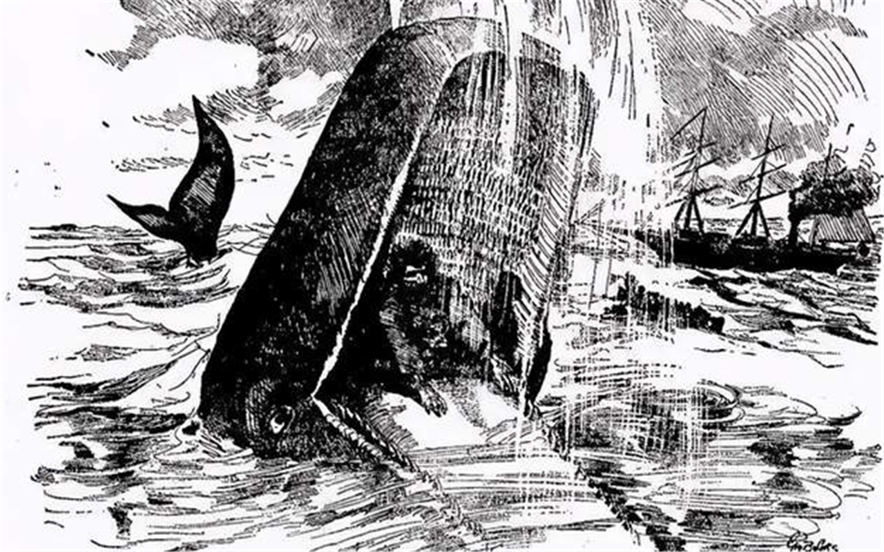 英國男子被鯨魚活吞數日，奇跡生還後，雙目失明皮膚遭腐蝕-圖4