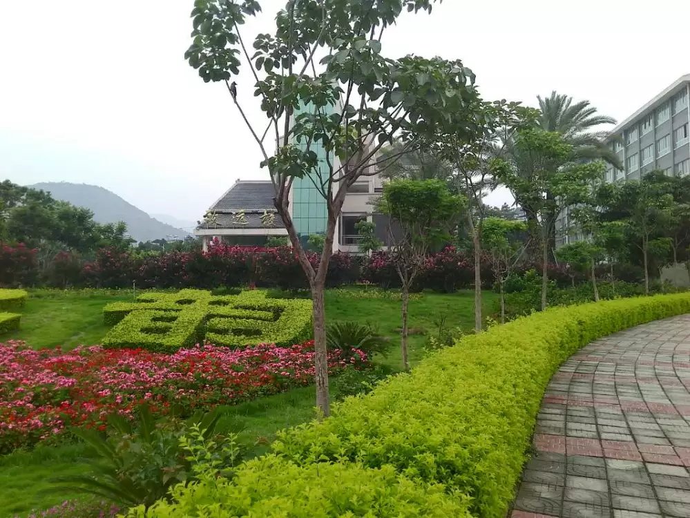 「」两难抉择，终有遗憾