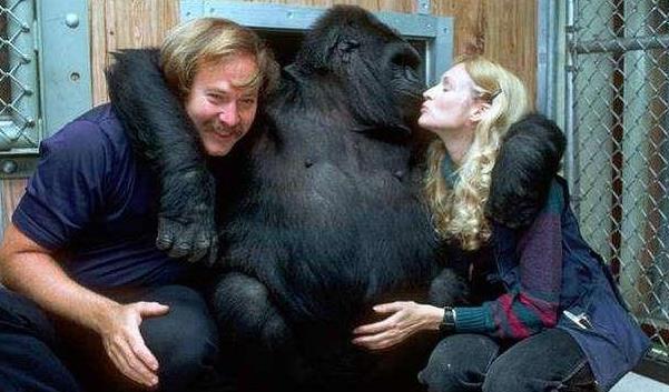 『科学家』女科学家亲自上阵，验证人类和大猩猩能否结合，结果无人敢信！