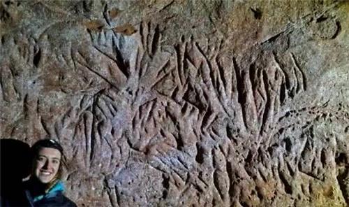 树懒@巴西发现一条1.3亿年前隧道，诡异无比，外国学者：不是人类建的