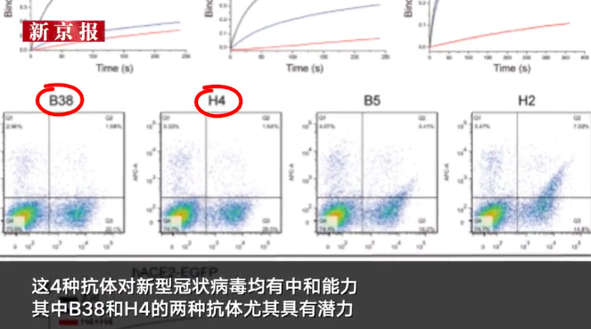 「物理学家」好消息! 新冠疫苗国内传来好消息