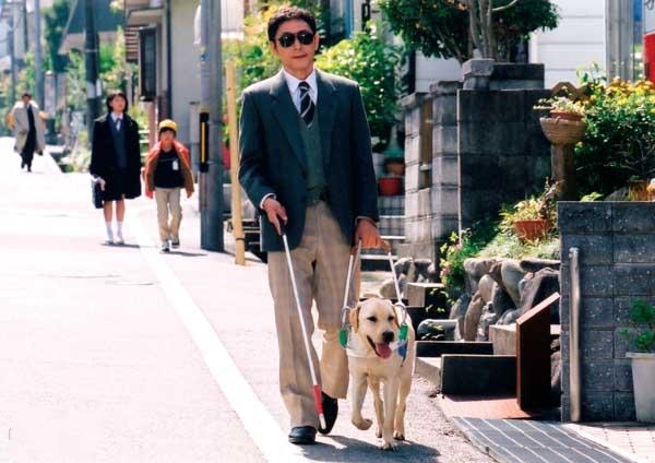 「张子枫」2019年最赚足眼泪的烂片！上映10天票房超5亿，豆瓣评分仅6.2分