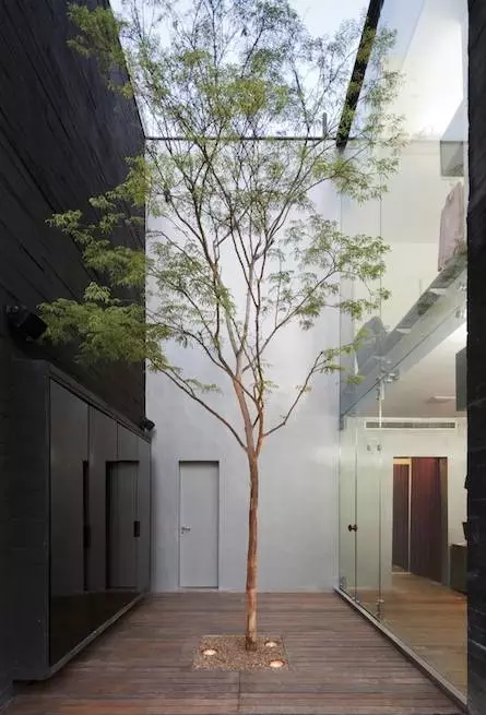 【】打造一个美美的院子，享受生活的安静与悠闲