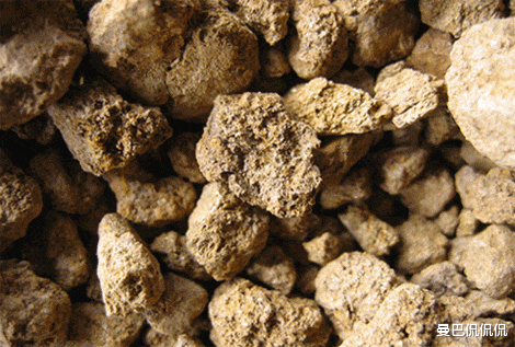 【马云】蒙古国获中国48亿投资，却将稀土献给美国，面临难题：怎么运送？