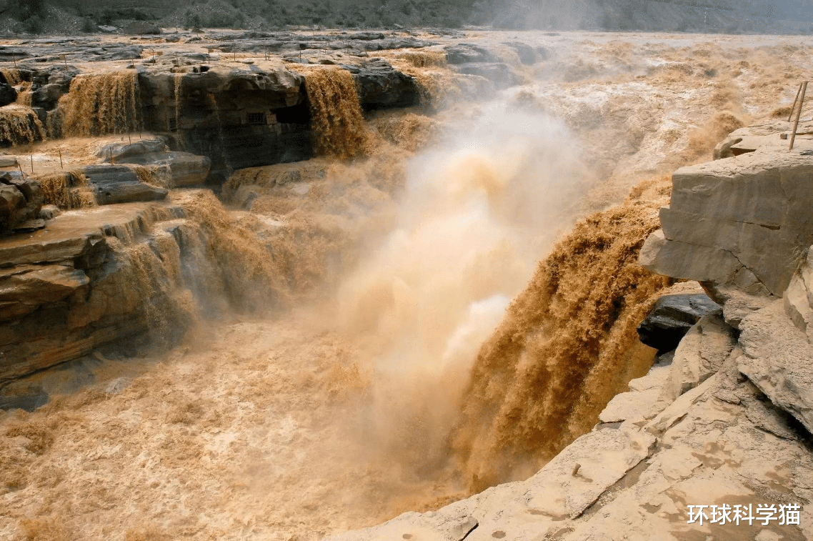 水底奥秘|淡水鱼没法在海水里存活，黄河每天大量鱼进入大海，鱼都去哪了？