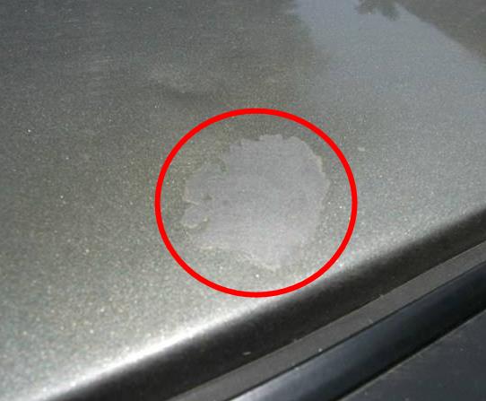 經常洗車與一月不洗，哪個更傷車？車主們看看兩年後差距，太明顯瞭-圖2