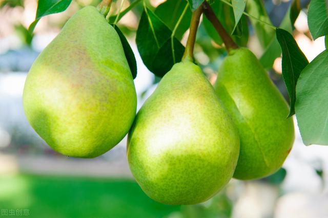 水果@七月一到，这些碱性水果要多吃一点，直到三伏尾，度过苦夏很舒坦