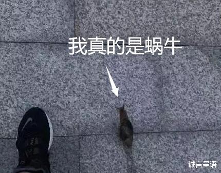 |北方的同学去南方上大学后,你会发现,日子原来可以如此“艰难”