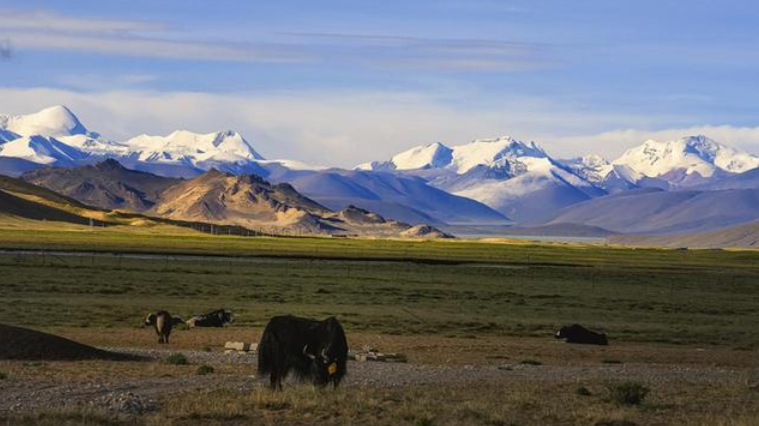 西藏|国家为什么要在西藏设立无人区，不许人们进入，为什么呢？