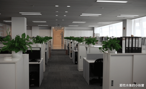 「阿里巴巴」阿里“钉钉”要改名?网友脱口而出的名字,直接击中灵魂了