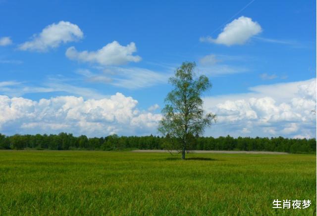 生肖|10月，桃花满枝红，情深意也浓，3生肖囍事连连，邂逅今生挚爱
