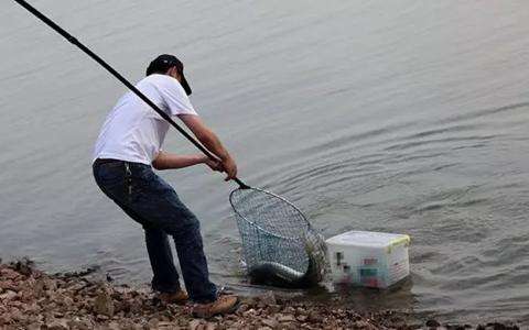 |如何处理鱼上钩后连连脱钩？老司机坦言：多半是这三个原因引起的