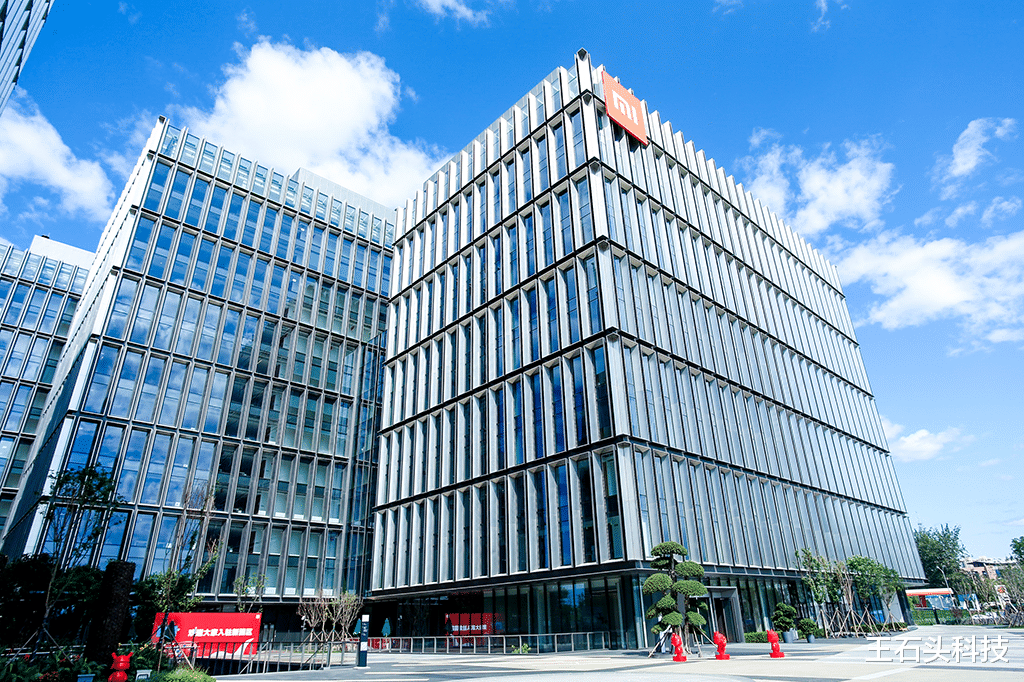 |至尊纪念版!小米10超大杯命名定了,网友:不是准备卖的?