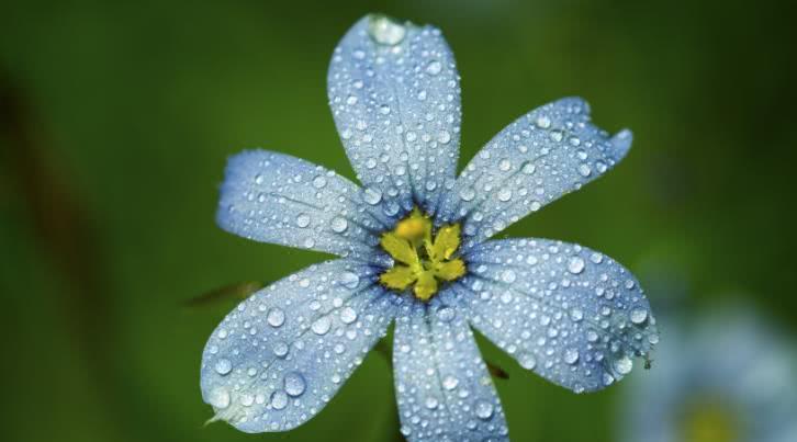 生肖|9月下旬，四生肖大发利市，有贵人指路，随时会发财