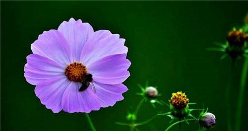 处女座|这四个星座要是主动找你，就是真的爱上你了