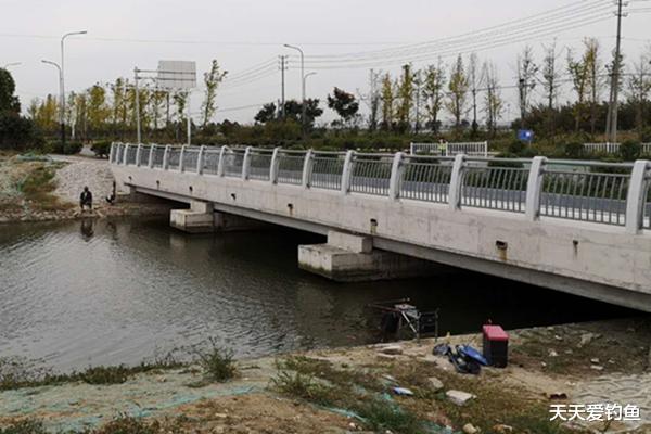 鲫鱼|秋末初冬钓鲫鱼,刮风是“天敌”,遇上刮风天,可以这样找鱼窝!