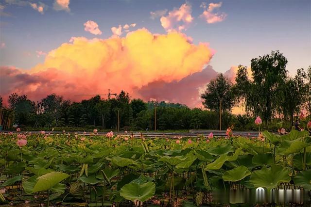 许昌报业传媒集团|市民镜头下的许昌，美出了新高度