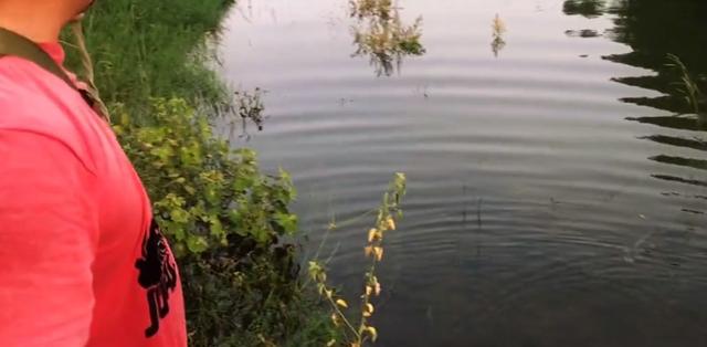 海南|水深不到一米的河里，竟有30斤“巨鳖”栖息？钓鱼人发现后钓起