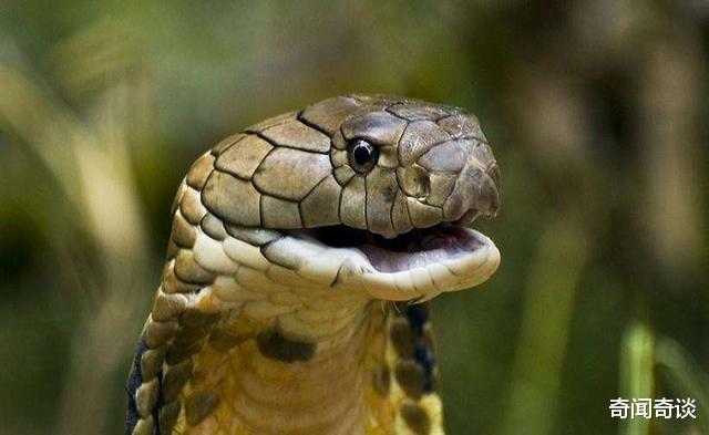 [毒液]地球上什么液体最贵，生命无价，其实最珍贵的液体就在我们身上！