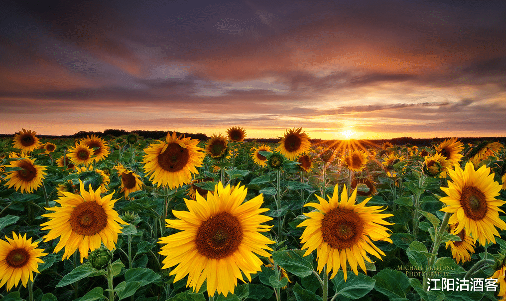 生肖▲6月22号,行大运,财发“千万”,日子红火多福的生肖,苦尽甘来