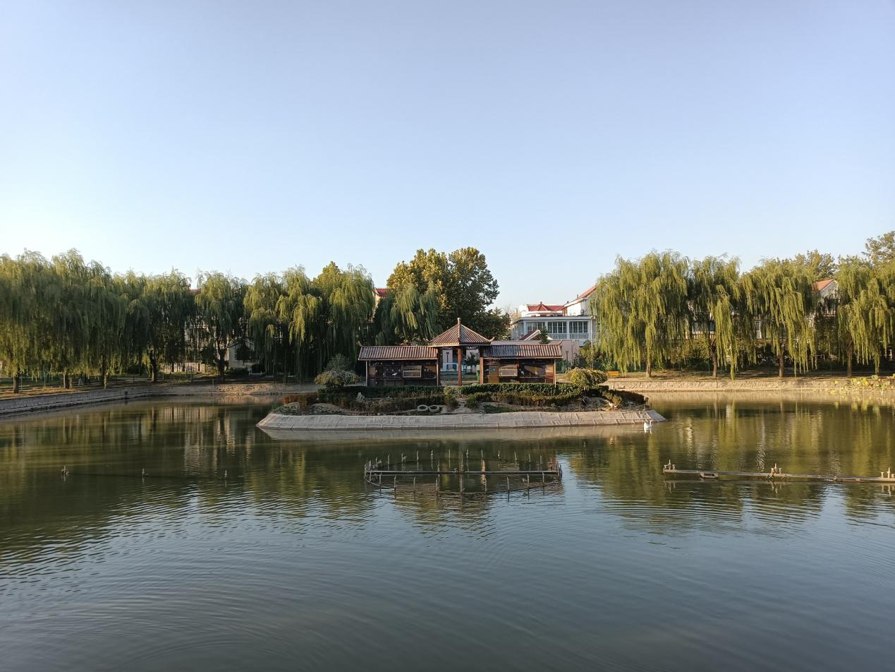 realme q|高端手机配置再次下放，realme Q2越级体验，快充长续航是重点