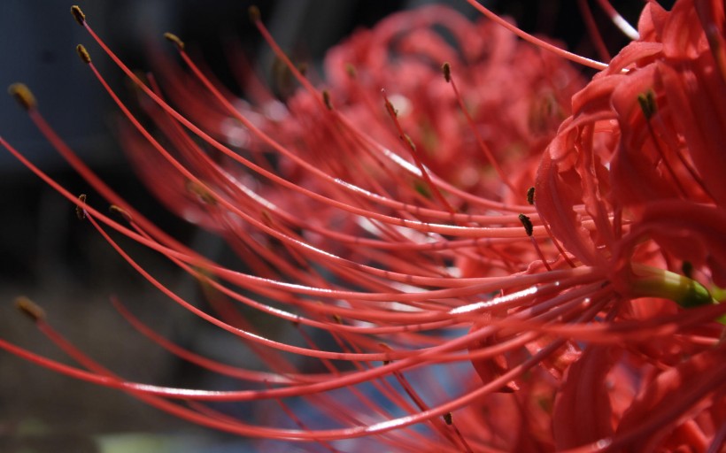 生肖：7月初内，天喜星闪动，月老如约而至，将有百年姻缘的四大生肖