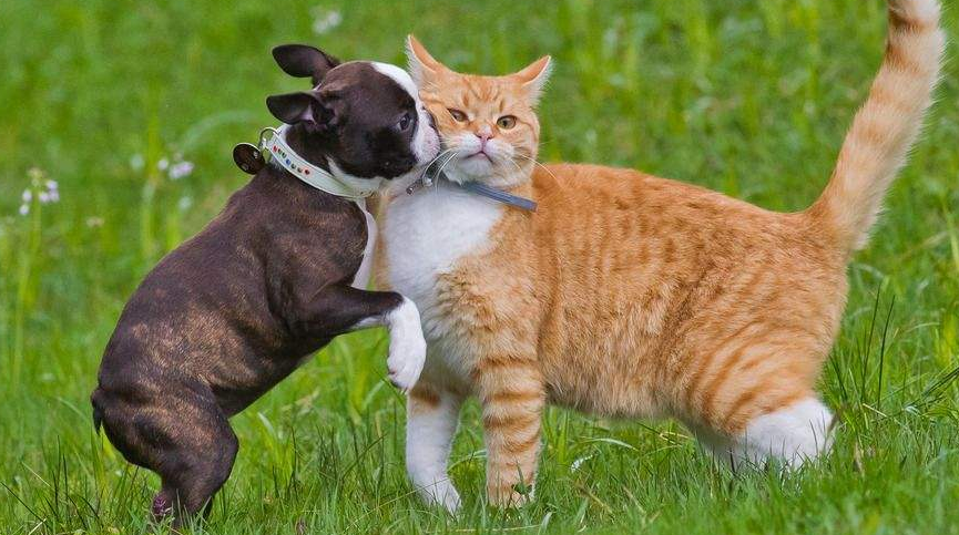 浙样的生活|杭州8岁女孩突然脱发，妈妈一看头顶吓坏了！这事大人孩子都爱做